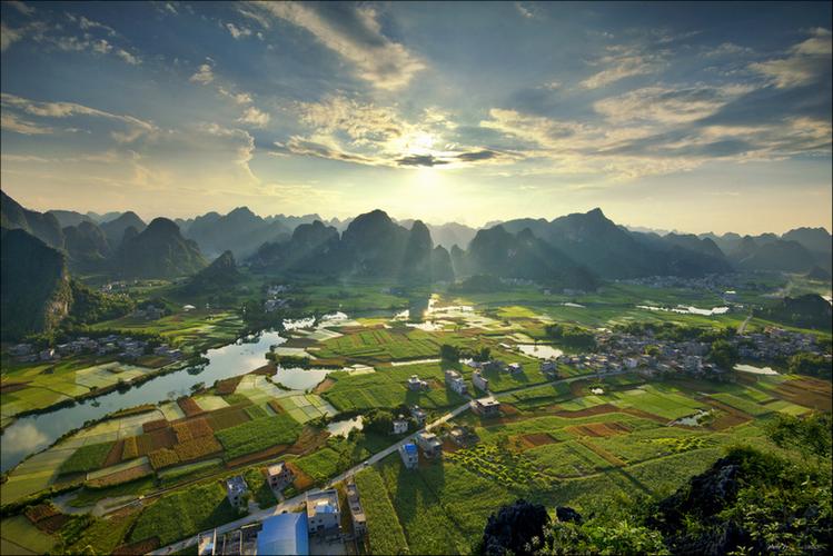 (走进中国乡村)“长江蔬菜岛”的飞行故事