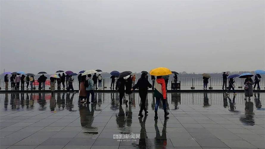 黑龙江省讷河市发布大雾黄色预警_3