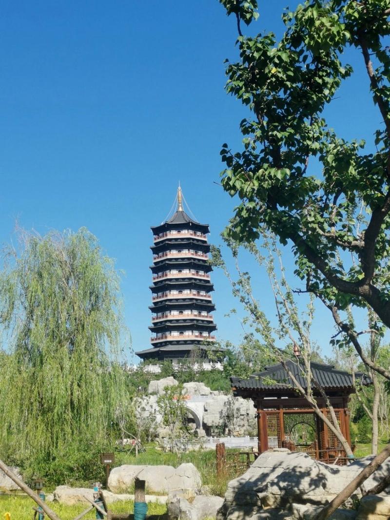 雄安建设者拍雄安|这座公园很“悦容”