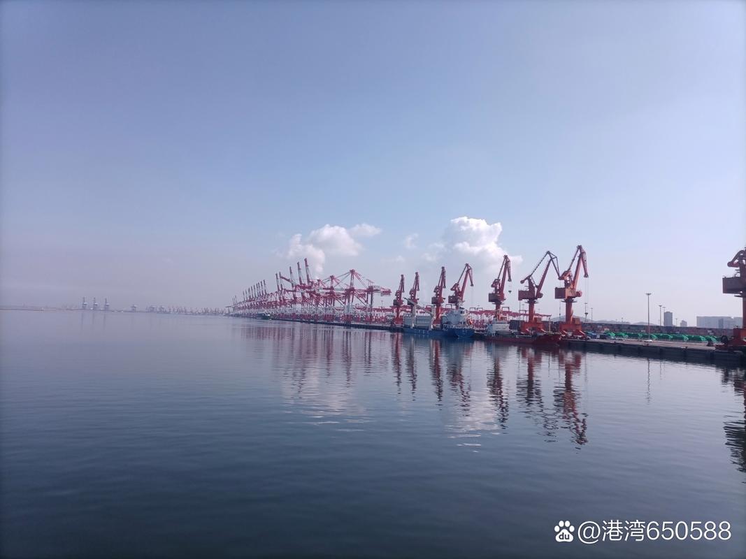 辽宁省鲅鱼圈区发布大雾黄色预警