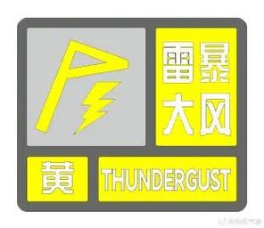 甘肃省通渭县发布雷雨大风黄色预警_3