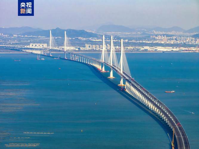湾区速评丨技能拉满！大湾区缘何“世赛热”？