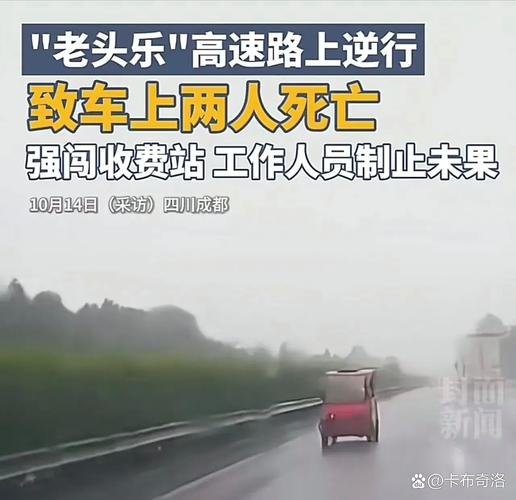 六安:“老头乐”误上高速,安全教育不能少