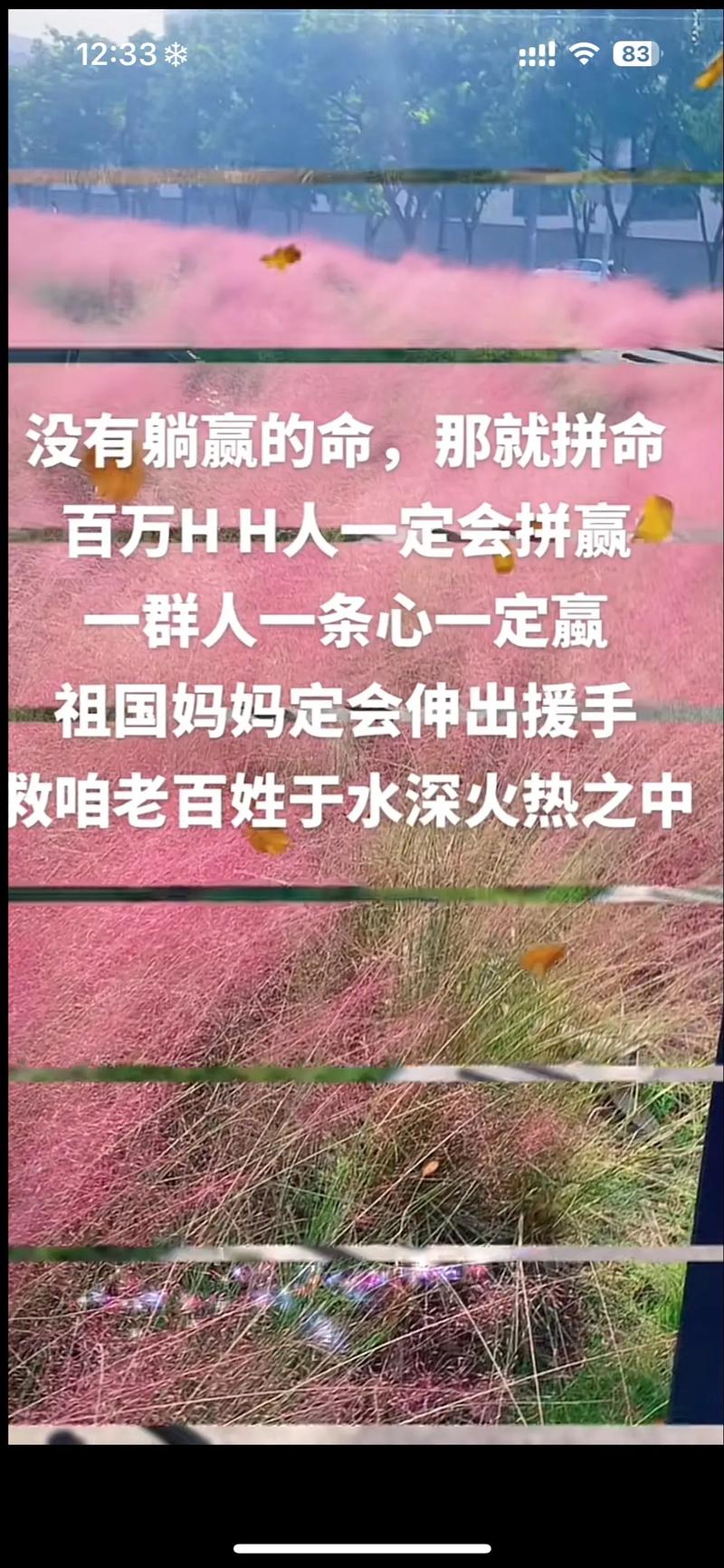 路通了,群众的心也通了
