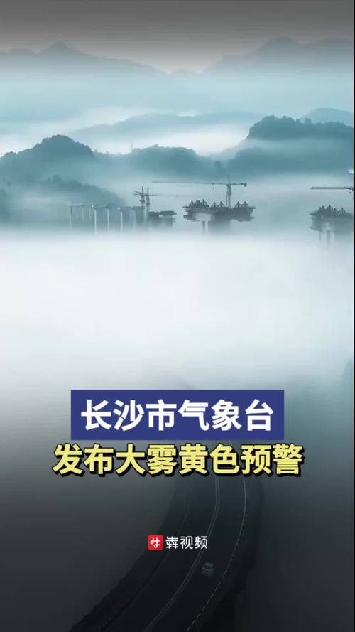 湖南省益阳市沅江市气象台发布大雾黄色预警信号