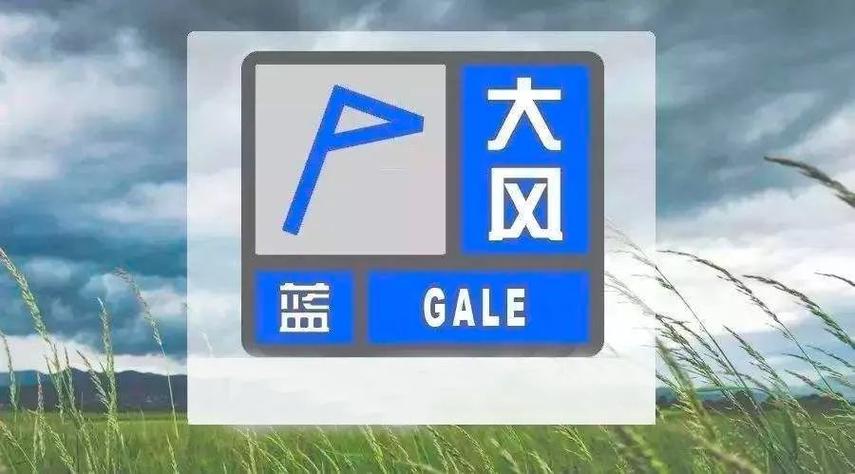 黑龙江省塔河县发布大风蓝色预警_6