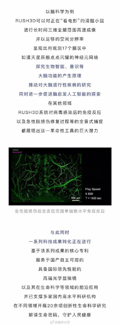 我国研制超级显微镜首次全景“看到”大规模细胞交互行为