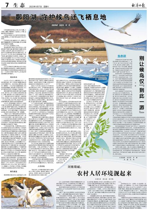 被救助后的灰鹤“吴山”回归鄱阳湖