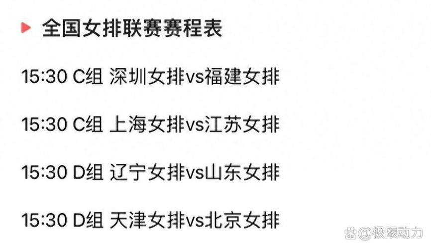 深圳女冰击败北京队 14胜1负暂列榜首