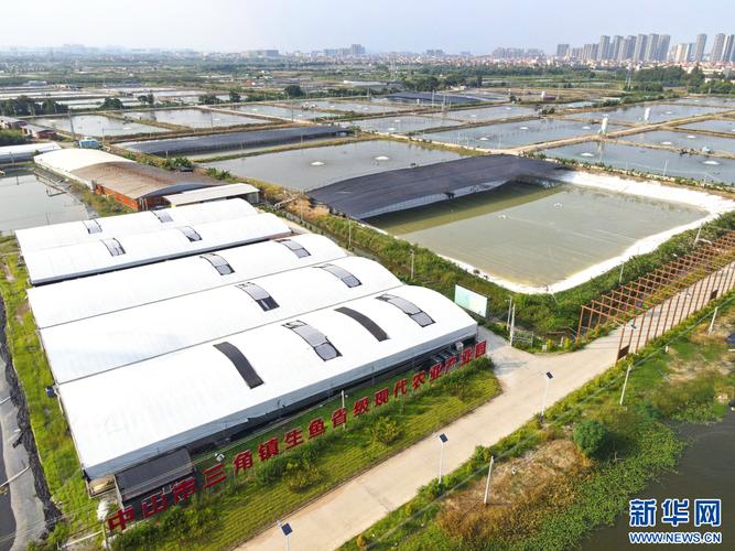 融合休闲渔旅功能!广东最大养殖平台“恒燚一号”建成投产