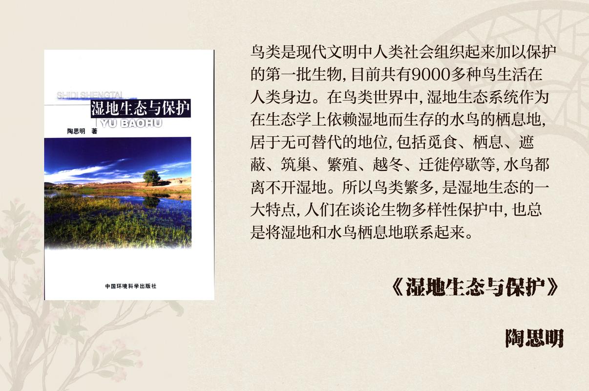 高质量发展调研行｜京西人工湿地引来上百种野生鸟类