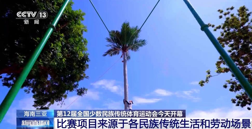 期待值拉满！这场体育盛会今晚开幕 看点“剧透”