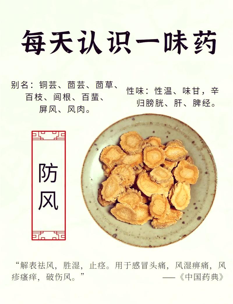 风、寒、湿邪的天敌,打一中药,它是?