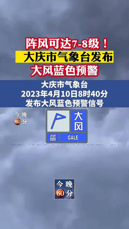 黑龙江省大庆市发布大风蓝色预警_4