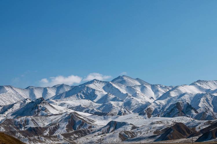 祁连山国家公园青海片区典型冰川面积和储量缩减