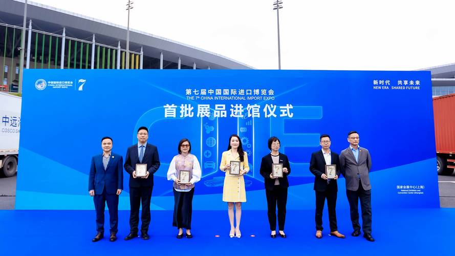(第七届进博会)进博会遇到“双11”:人在逛展会、货已卖全球