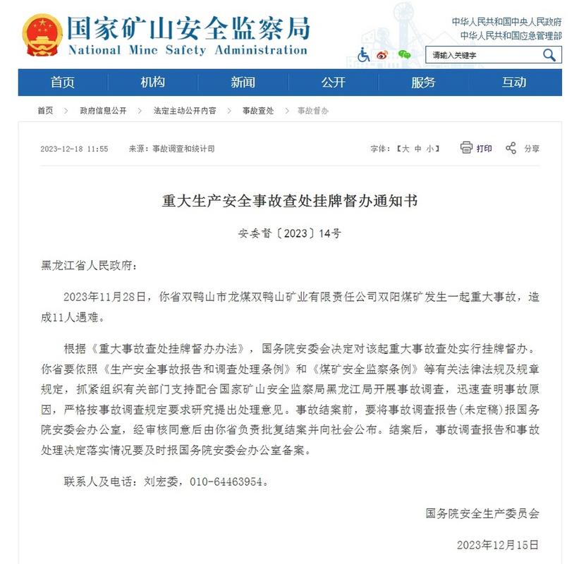 黑龙江龙煤双鸭山矿业双阳煤矿事故造成11人遇难，国务院安委会挂牌督办