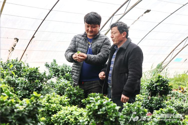 春到齐鲁 万象“耕”新山东推进农业高质量发展一线观察
