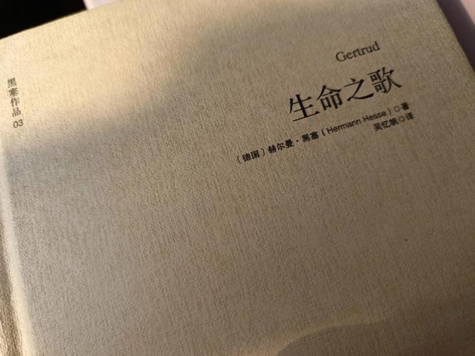 长篇小说《补心》:以医者之笔,绘生命之歌