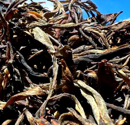 西双版纳州开展普洱茶乱象整治行动 促茶产业健康发展