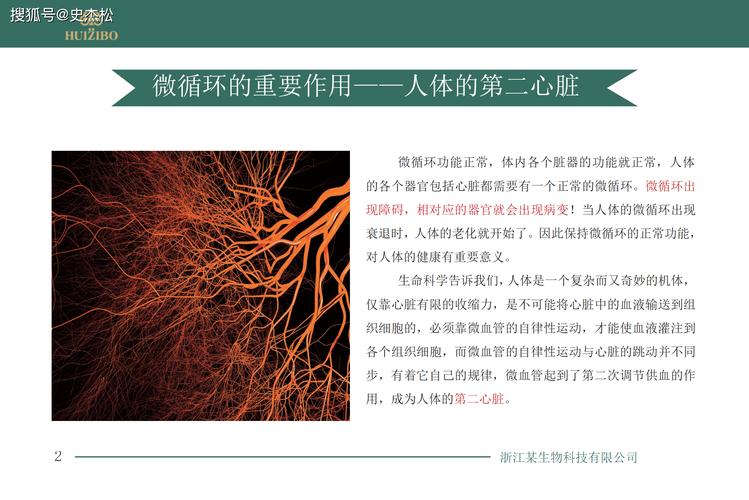 建设现代流通体系:打通“大动脉”,畅通“微循环”