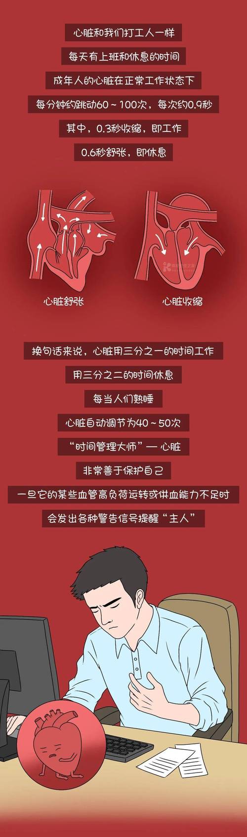 心跳慢的人,寿命更长?_1