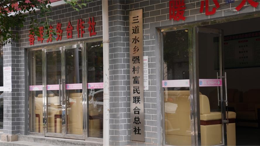 「筑梦现代化 共绘新图景」产业扶持 助力新村村增收致富