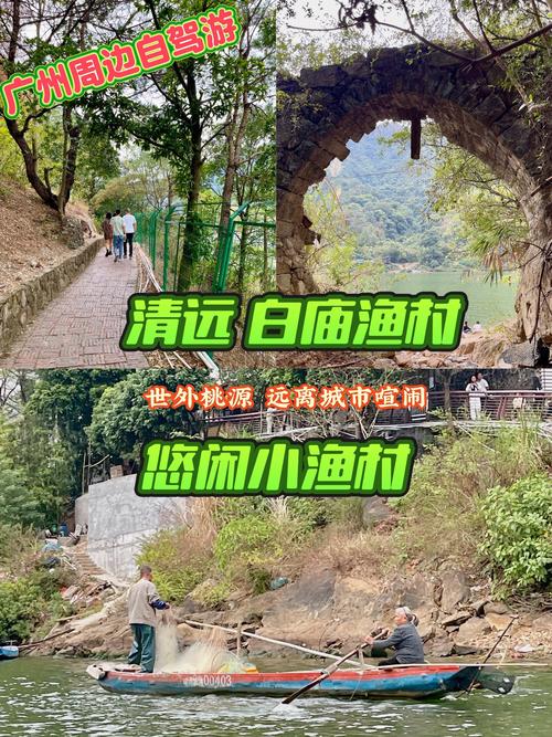(走进中国乡村)广东电白疍家小渔村催热“美丽经济”