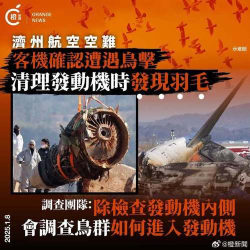 韩国国土交通部：推测事故由飞机撞上鸟群引起