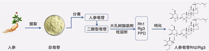 中新健康丨人参等三种原料纳入保健食品备案原料目录