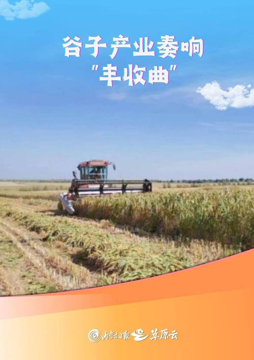 (身边的变化)内蒙古西部农村:特色农业生金 致富增收有道