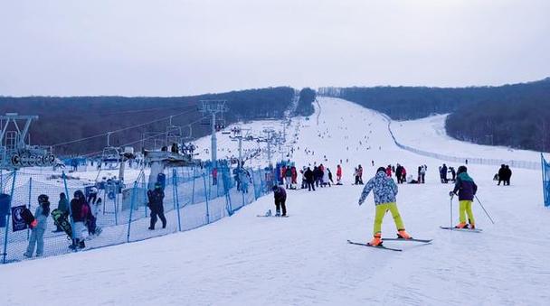 龙江冰雪旅游热