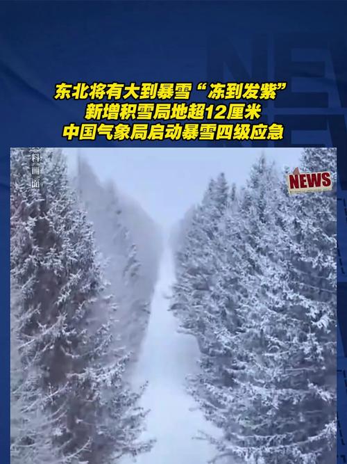 黑龙江降雪又登场哈尔滨等地或现中雪 缘何今年降雪如此多?