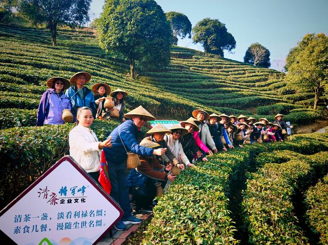茶陵:从“选调生体验日”活动中感受乡村脉动 共担振兴使命