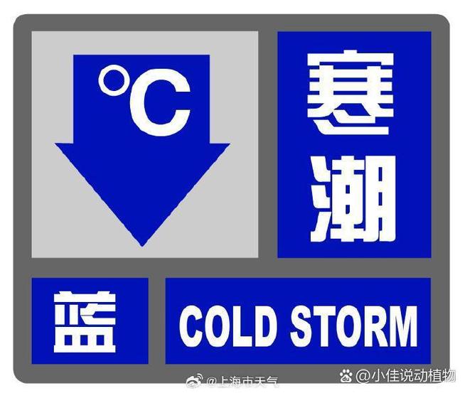陕西省城固县发布暴雪蓝色预警