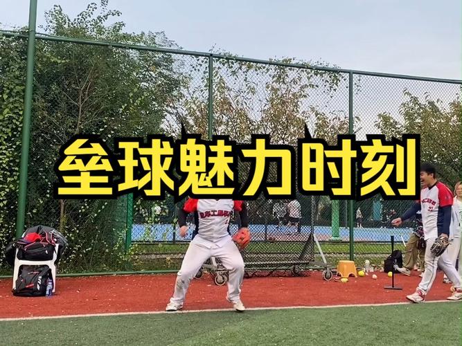 长三角近百名台商台胞切磋球技 享受慢速垒球魅力