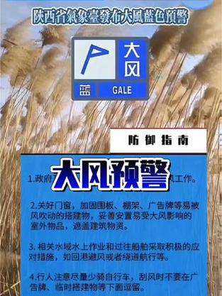 陕西省渭城区发布大风蓝色预警
