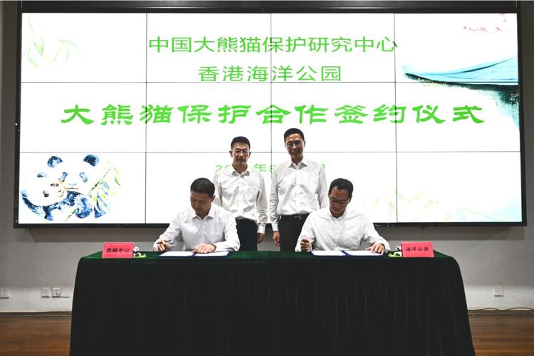 再送一对大熊猫!中国大熊猫保护研究中心和香港海洋公园签协议