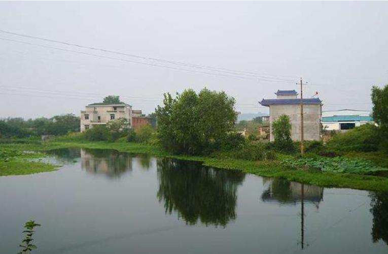 鄂州市鄂城区花湖开发区（花湖镇）站前社区党总支书记、居委会主任刘文旭被查