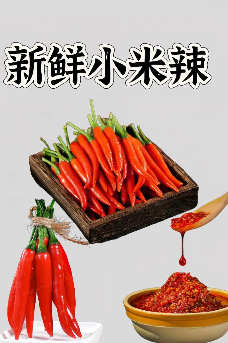 湖南“小辣椒”勇闯哈尔滨第一天收到惊喜礼物,网友打趣:别变“小冻椒”