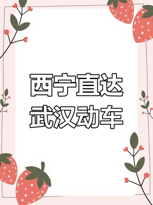 西宁至武汉直达动车将于1月11日首次开行
