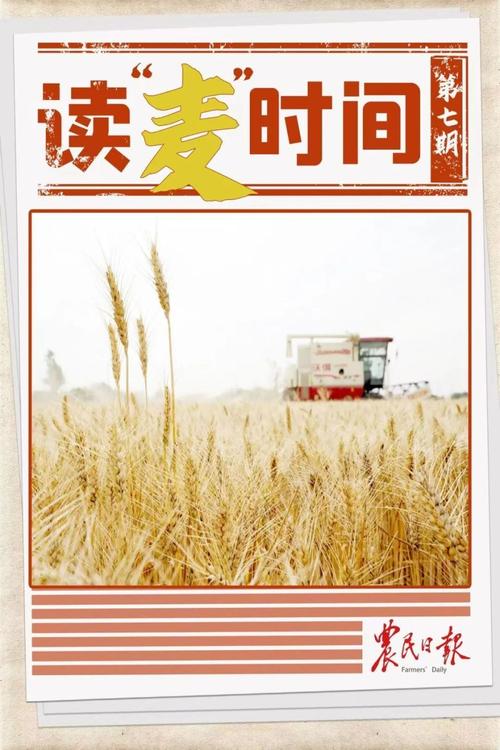 过七成半 全国夏播粮食进度条更新
