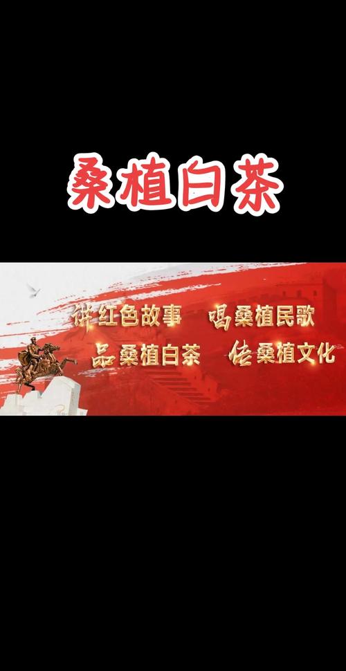 近3000名跑友齐聚桑植,在红色热土奔跑、攀岩、品白茶