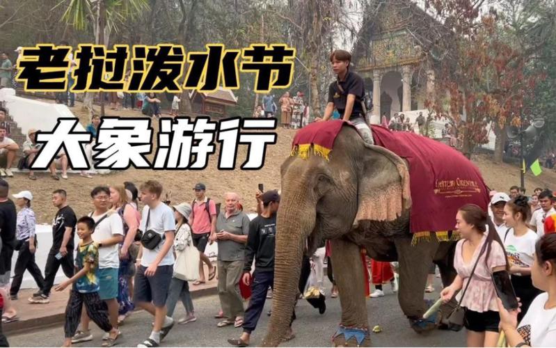 长长的鼻子相互泼水,大象也过“泼水节”啦!