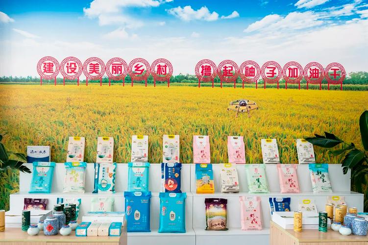 锚定现代化 改革再深化丨江西吉州区“新乡贤”跨界“新农人” 激活乡村振兴“一池春水”