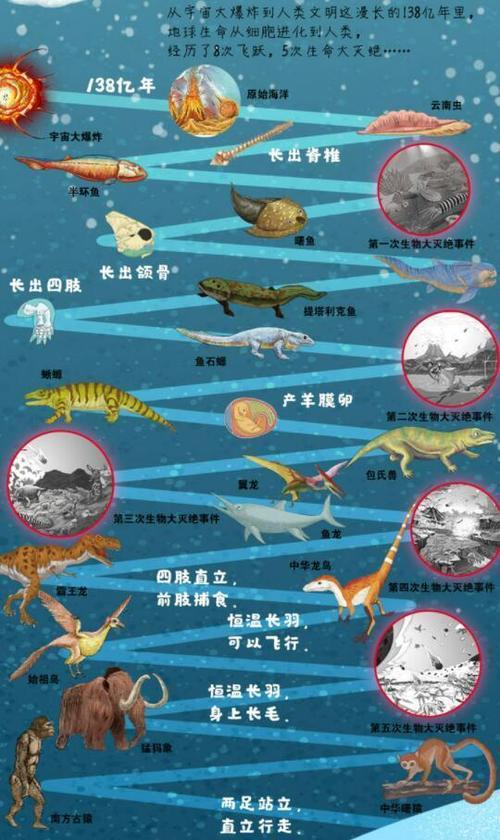 陆地如何影响地球的“进化”?