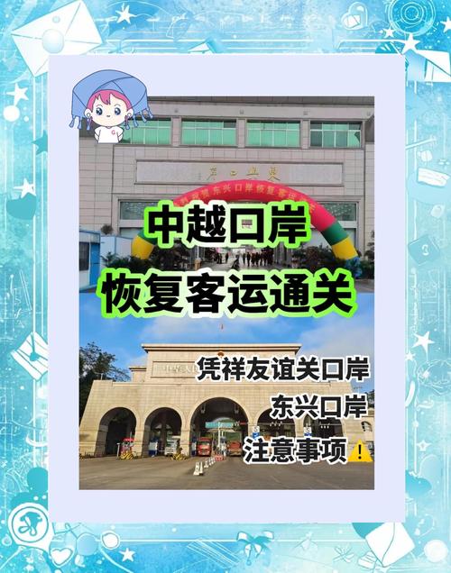 中国峒中-越南横模口岸旅检通道正式启用