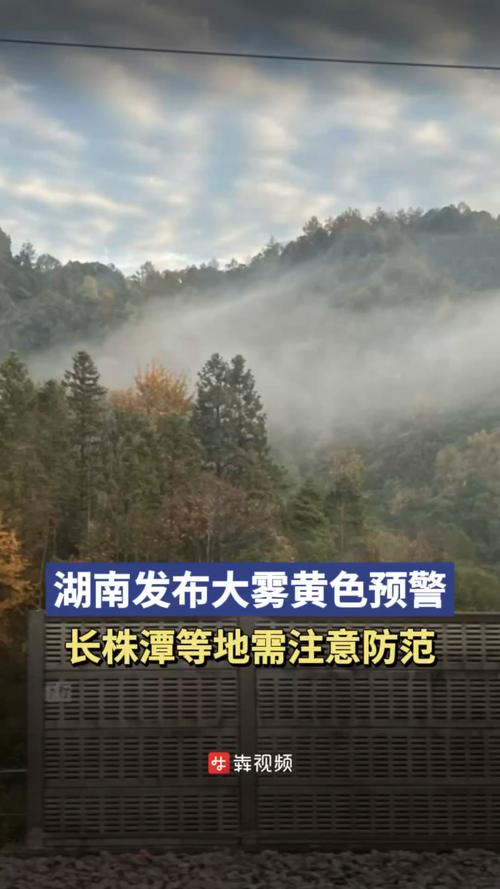 湖南省岳塘区发布大雾黄色预警_3