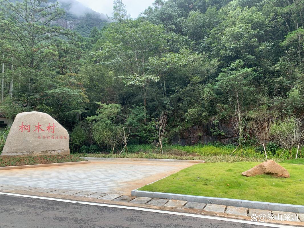 武夷山国家公园1号风景道正式运营 宝藏景点等你打卡