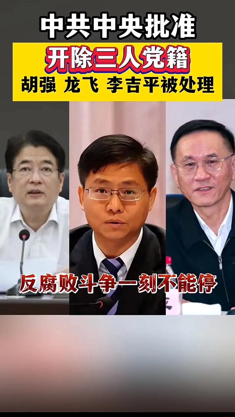 宜春市政府原党组成员胡新明严重违纪违法被开除党籍